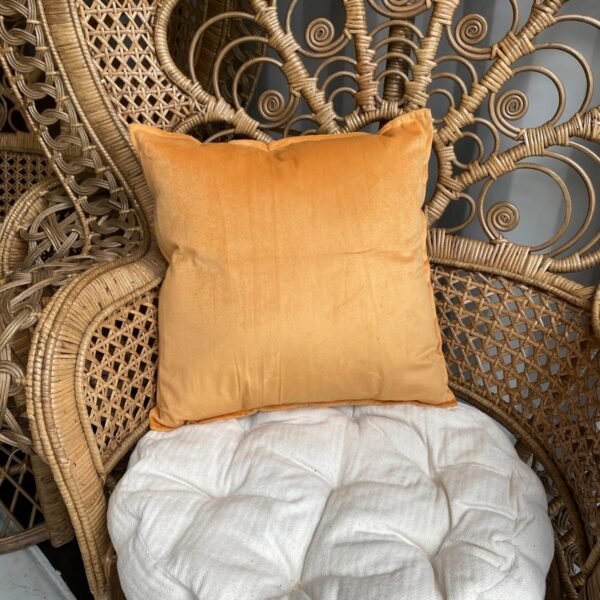 Coussin (plusieurs coloris disponibles)