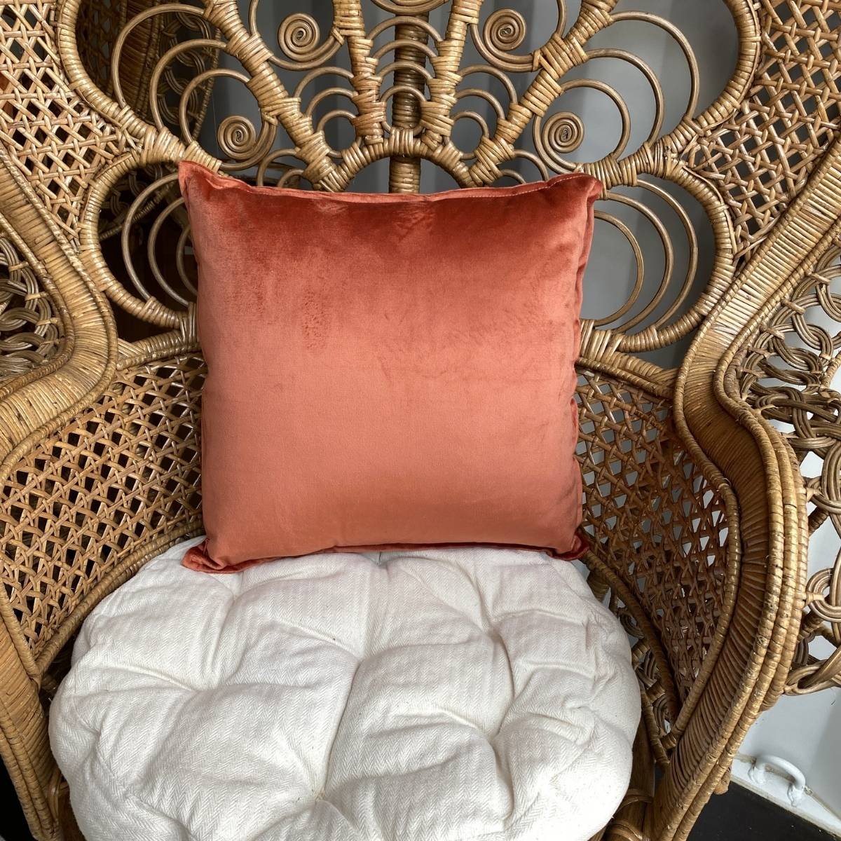 Coussin (plusieurs coloris disponibles)