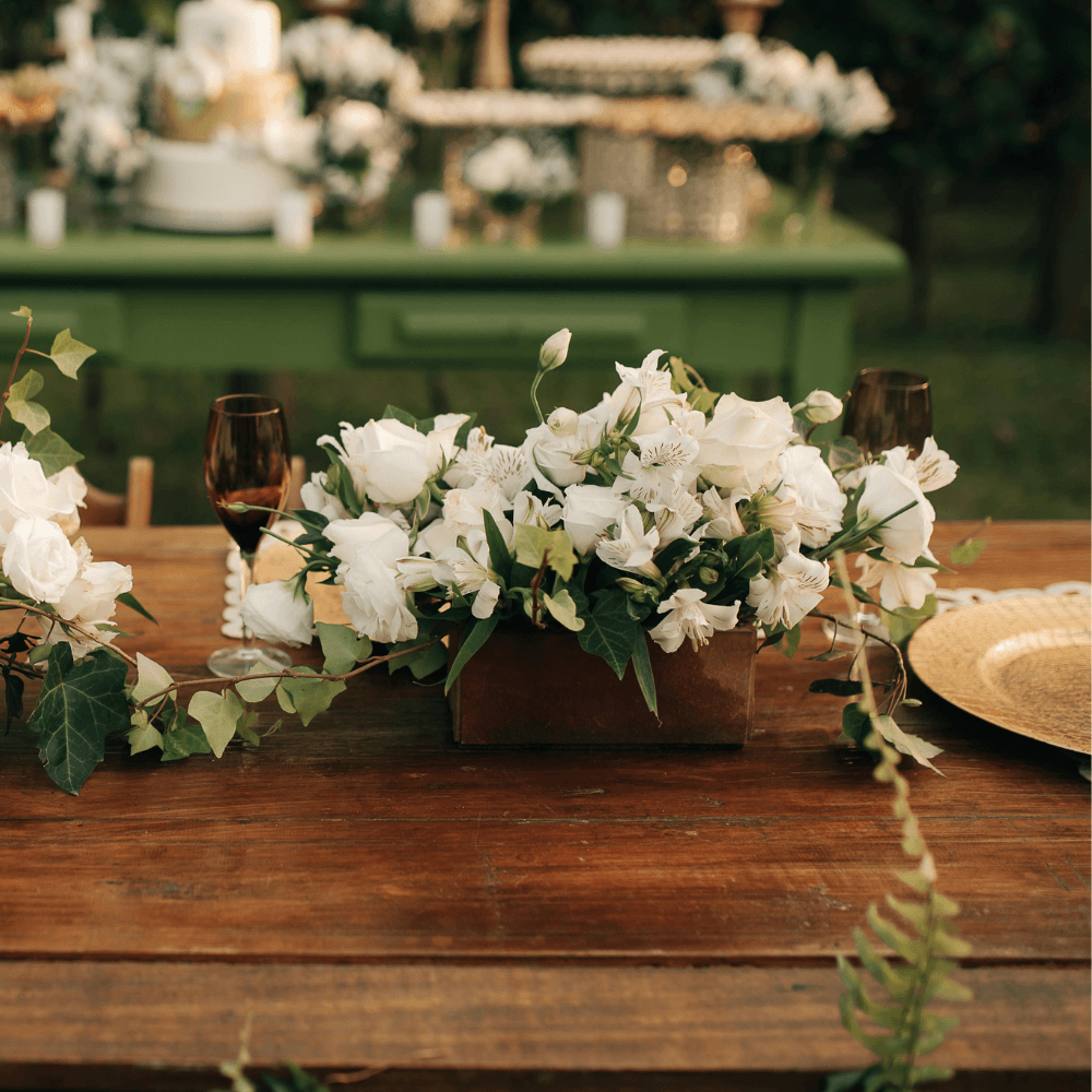 Location petite jardinière en terre cuite à Lyon