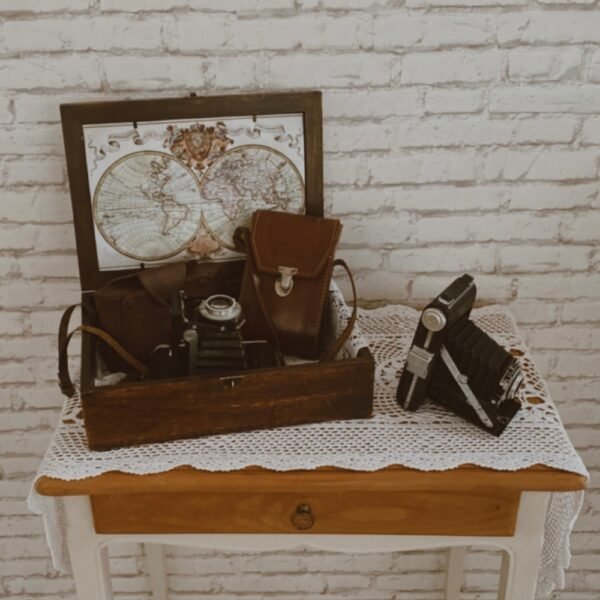 Location appareil photo ancien à soufflet à Lyon