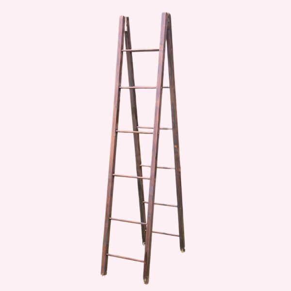 Location échelle double en bois à Lyon