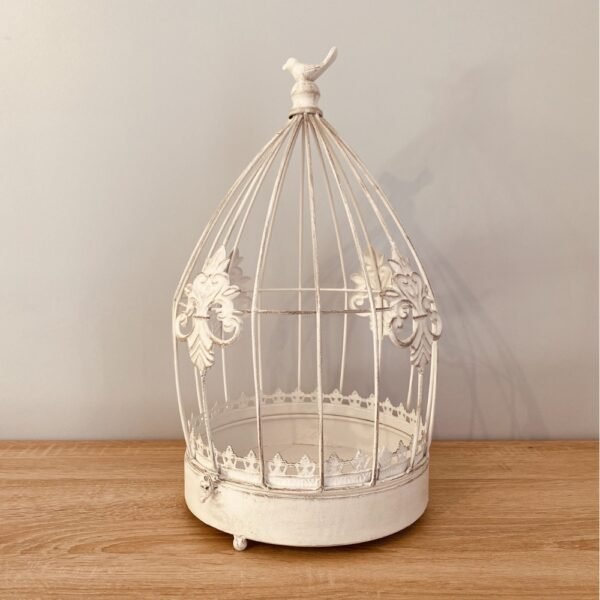 Location cage à oiseau décorative à Lyon