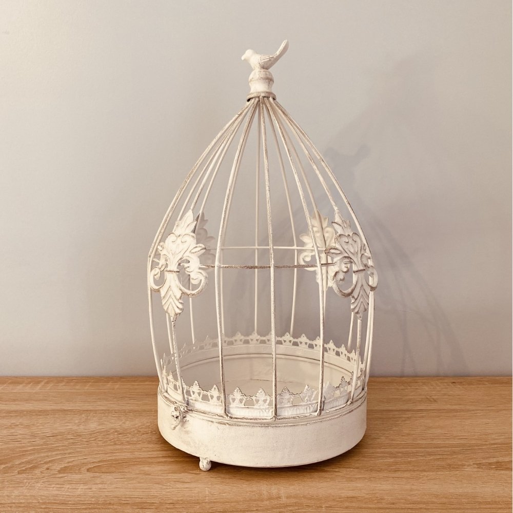 Location cage à oiseau décorative à Lyon