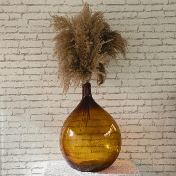 Bonbonne dame jeanne ambrée avec pampa